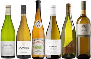 Decanter Wine Awards - oceněná bílá vína