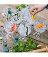Degustace Gin 15.7.2026, Datum 15.7.2026