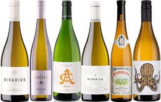 Neobjevené svěží bílé poklady - pro rozšíření vašich vinných obzorů