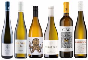 Objevte skryté bílé poklady