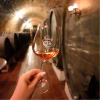 Prohlídka Habánských sklepů s rozšířenou degustací - elektronická poukázka