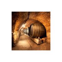 Prohlídka Habánských sklepů se základní degustací - elektronická poukázka