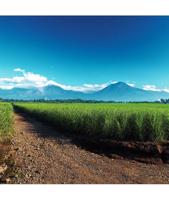 Rumová cesta za potomky věhlasných Mayů 3.6.2026, Datum 3.6.2026