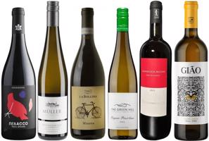 Svatomartinská vína bez Svatomartinského