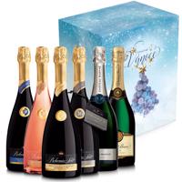 Vánoční degustační balíček prémiových sektů v dárkovém kartonu