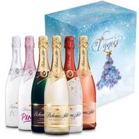 Vánoční sektový balíček v dárkovém kartonu